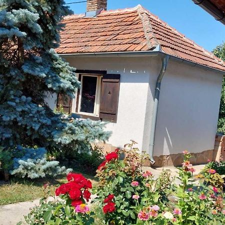 Apartman Nebojsa Rudnik Exterior foto