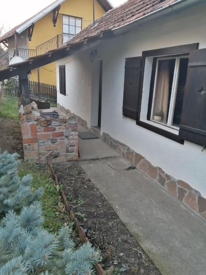 Apartman Nebojsa Rudnik Exterior foto