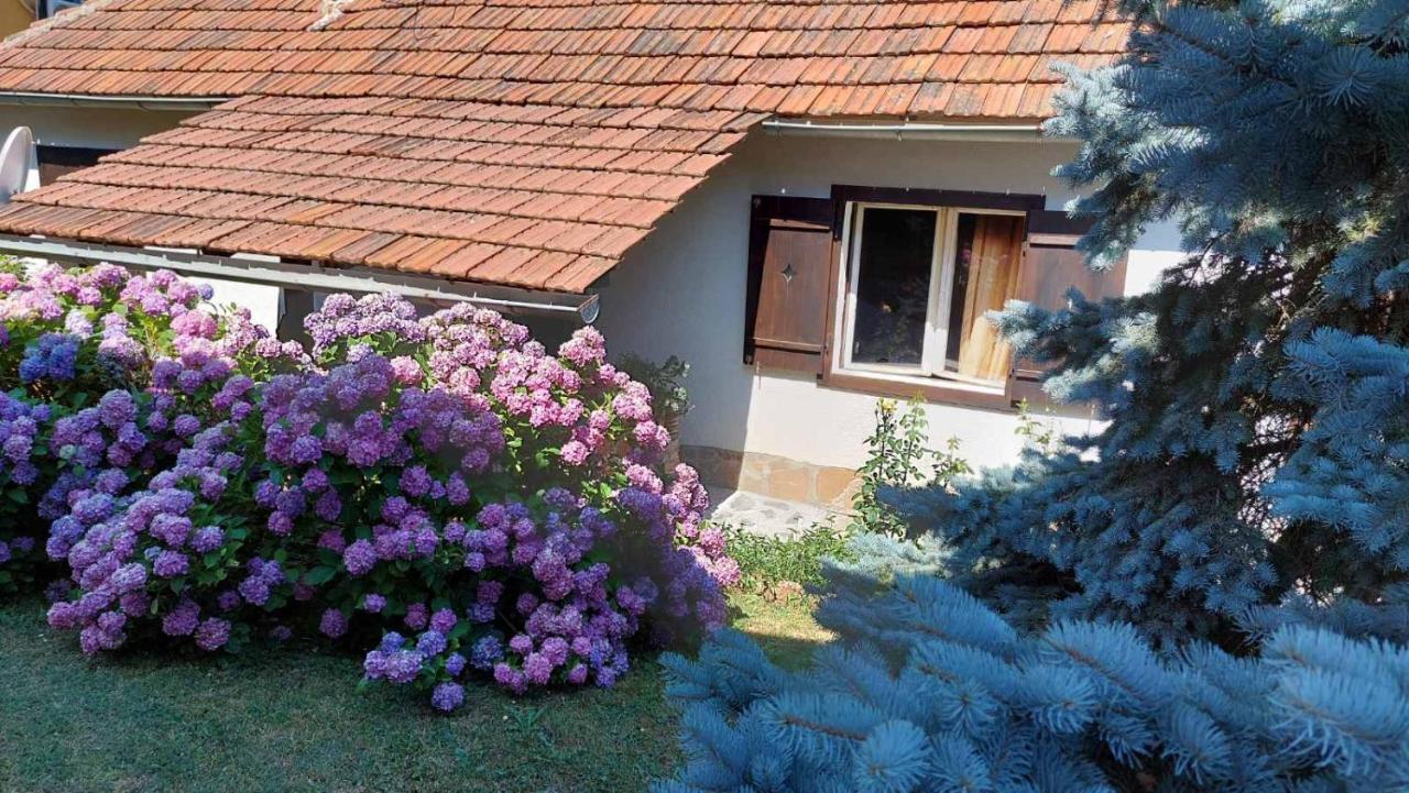 Apartman Nebojsa Rudnik Exterior foto