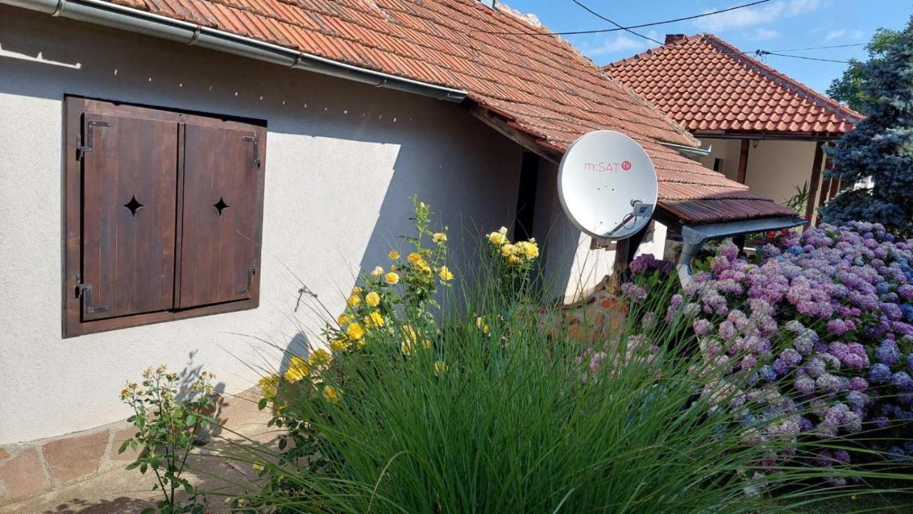 Apartman Nebojsa Rudnik Exterior foto
