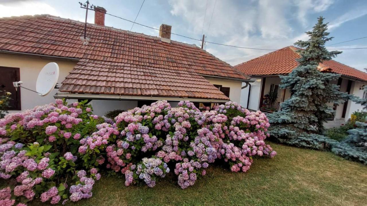 Apartman Nebojsa Rudnik Exterior foto