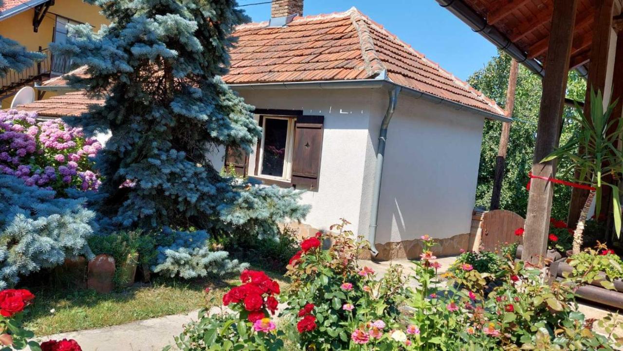 Apartman Nebojsa Rudnik Exterior foto
